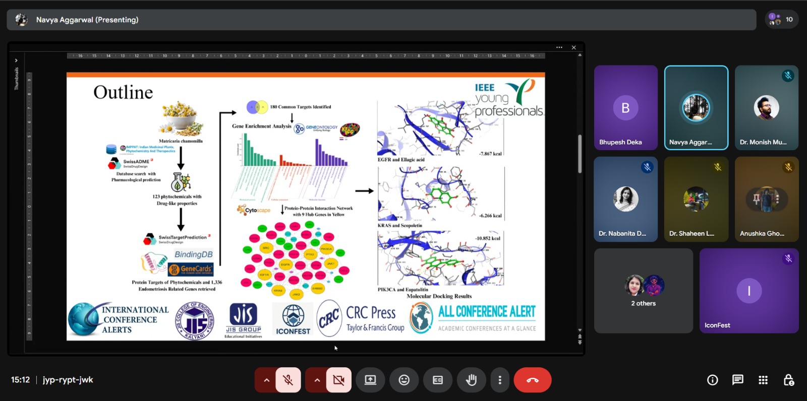 IconFest Gallery Image 10